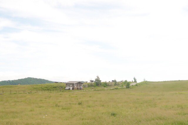 e0329049_20200865.jpg