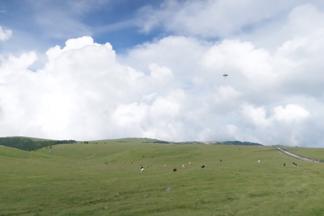 e0329049_20200941.jpg