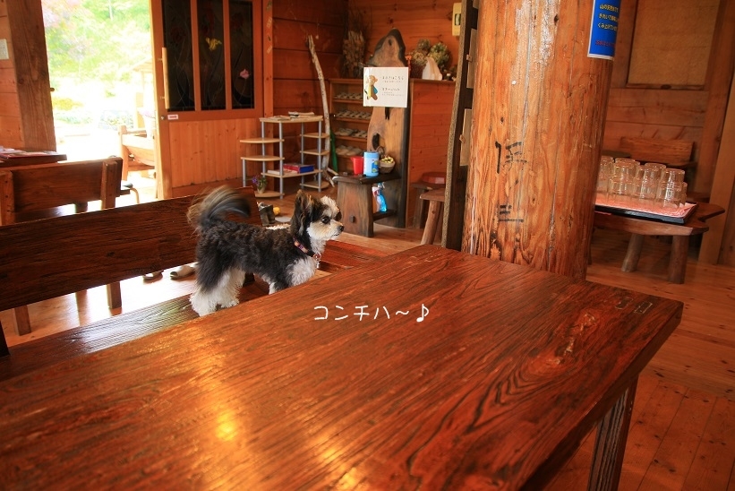 c0145250_11122636.jpg