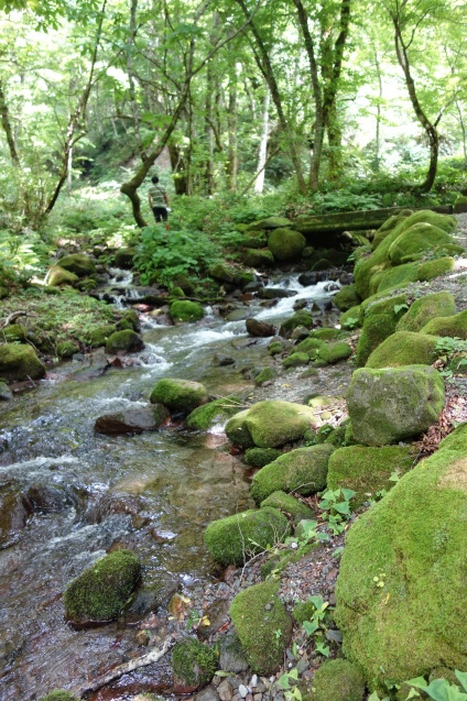 d0255750_11211200.jpg