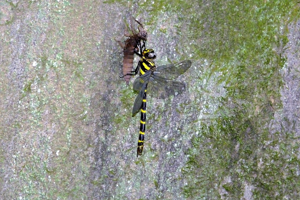 b0236251_11273232.jpg