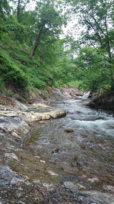 b0304662_20575569.jpg