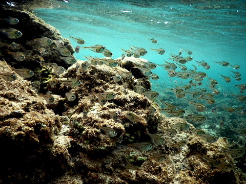 b0141773_00041223.jpg