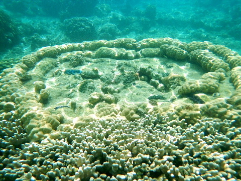 b0141773_00124463.jpg