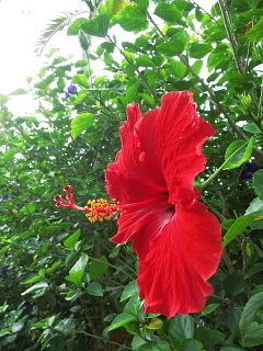 b0141773_00134883.jpg