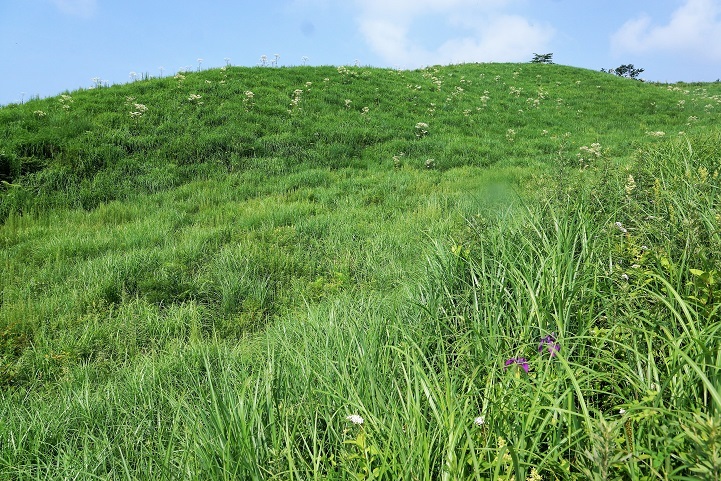 c0248473_20103306.jpg