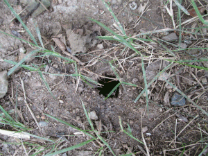 d0356076_21141010.gif