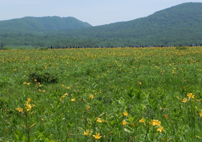 c0144185_11441641.jpg