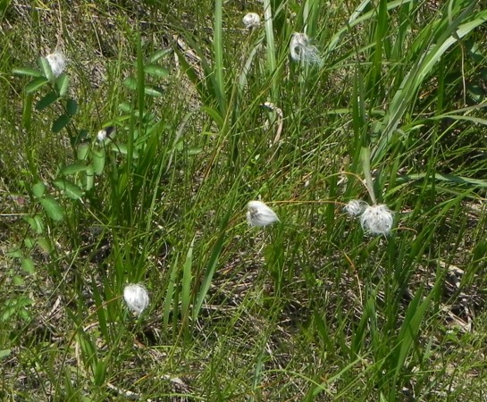 c0144185_14452082.jpg