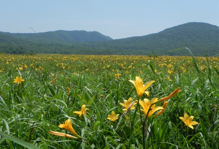 c0144185_145344.jpg