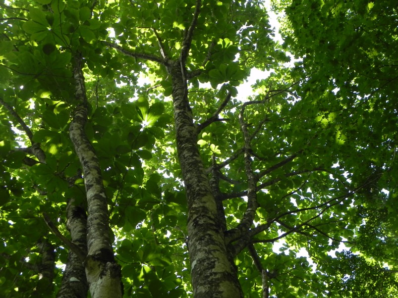 c0144185_21565464.jpg