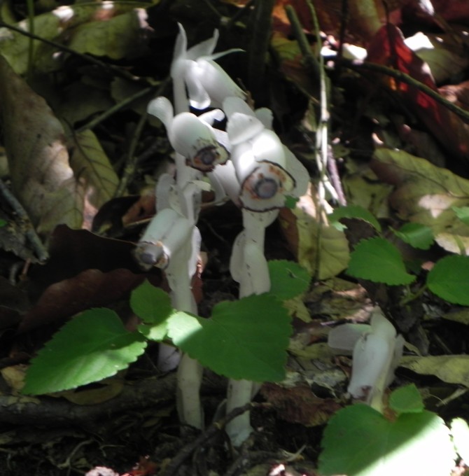 c0144185_2214398.jpg