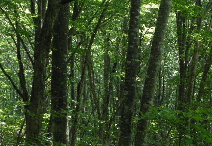 c0144185_2215125.jpg