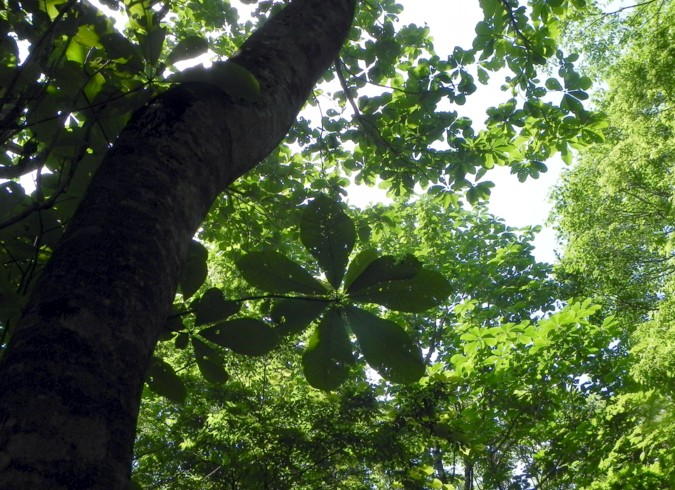c0144185_222637.jpg
