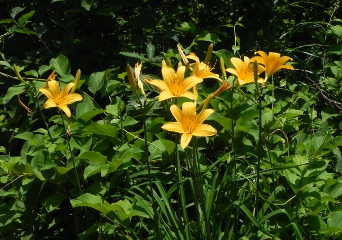 c0144185_22264156.jpg