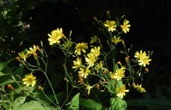 c0144185_22302922.jpg