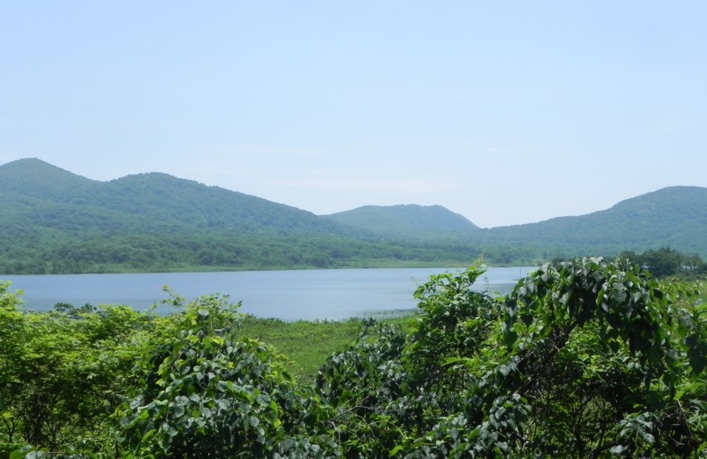 c0144185_22321561.jpg