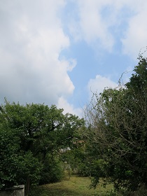 e0130185_9395170.jpg