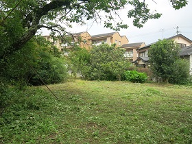 e0130185_9531327.jpg