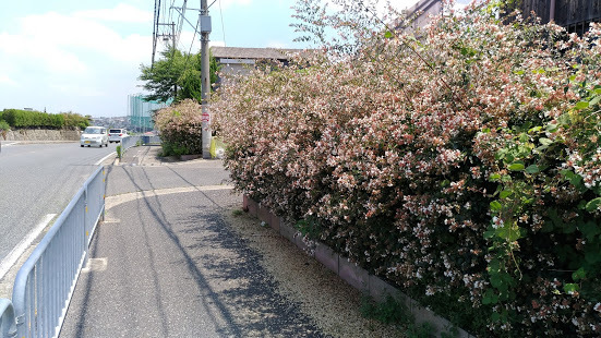 f0053885_20181178.jpg