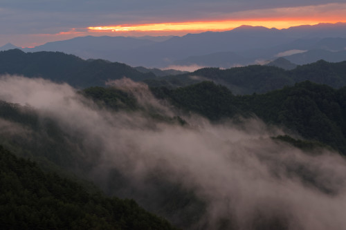 e0366896_11051258.jpg