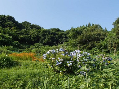 c0187298_1314932.jpg