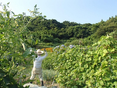 c0187298_13151310.jpg