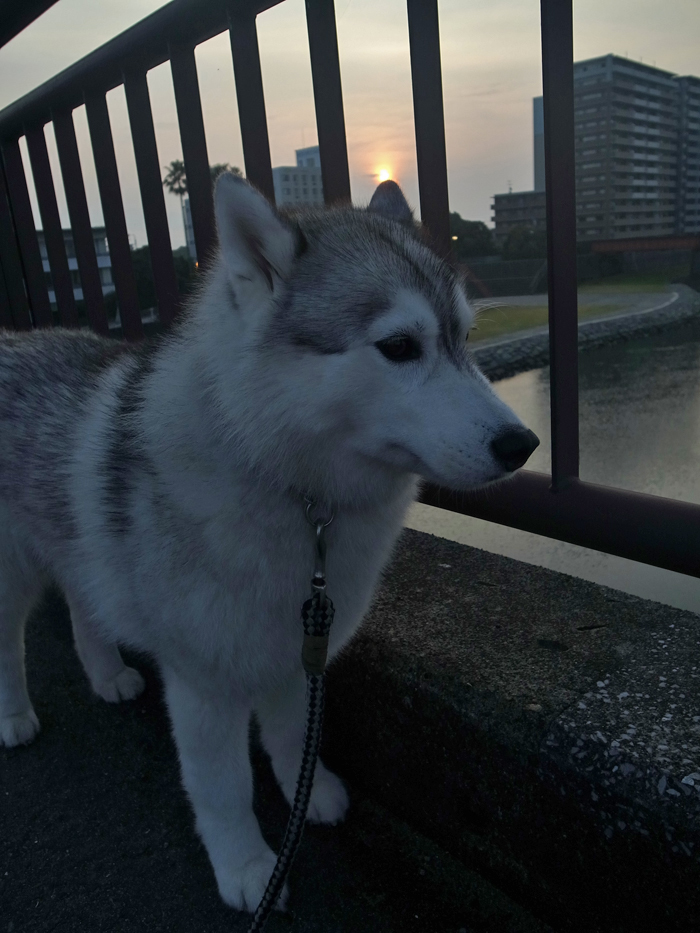c0049299_22072600.jpg
