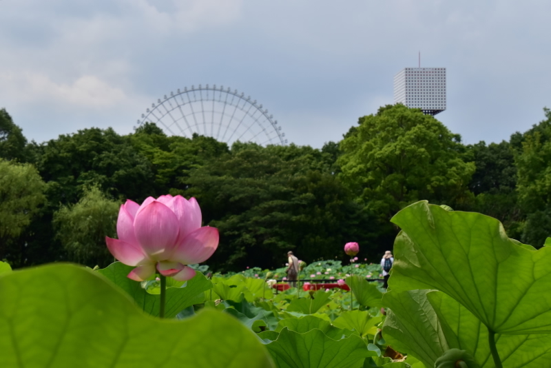 d0363399_00114017.jpg