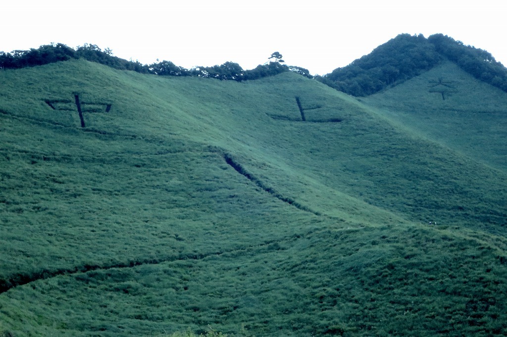 a0188405_21523184.jpg