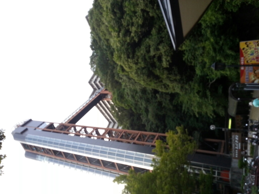 b0148714_09483743.jpg