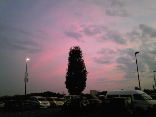 b0285619_22565901.jpg