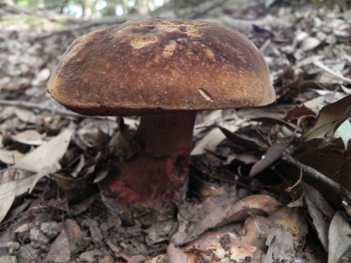 e0352220_10421758.jpg