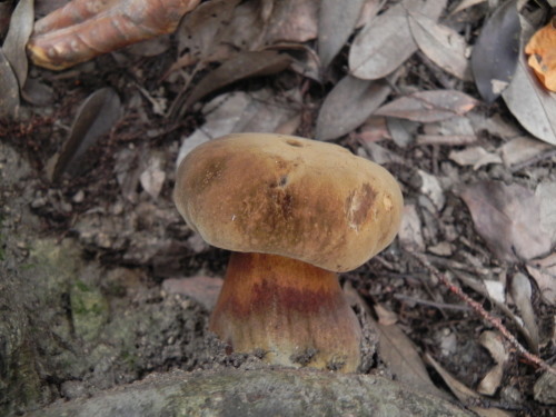 e0352220_10431683.jpg