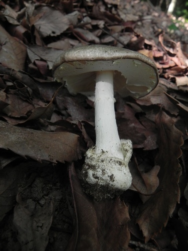 e0352220_10514982.jpg