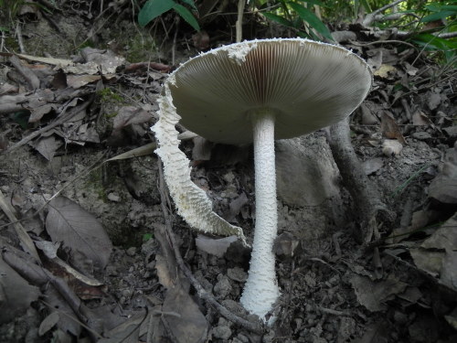 e0352220_10525519.jpg