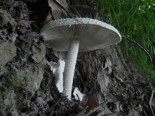 e0352220_10542551.jpg