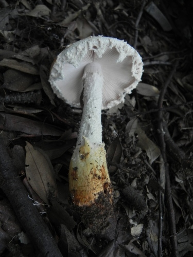e0352220_11075137.jpg