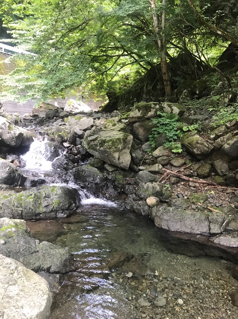 c0188525_1729587.jpg