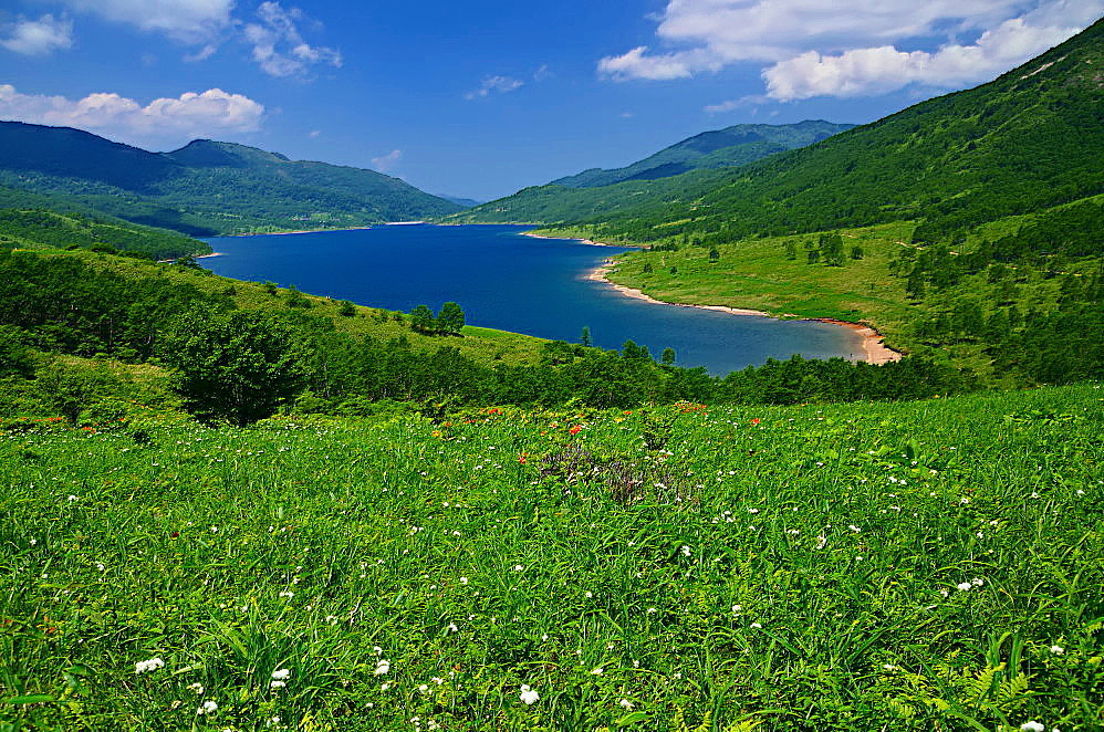a0287533_21010450.jpg