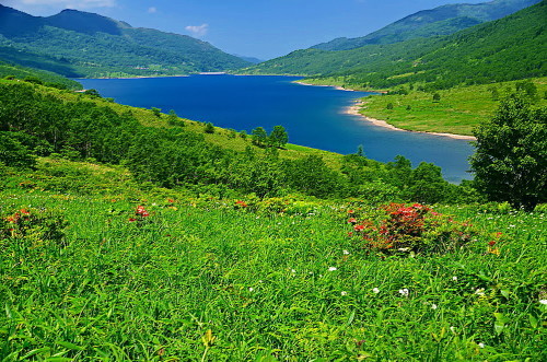 a0287533_21033444.jpg