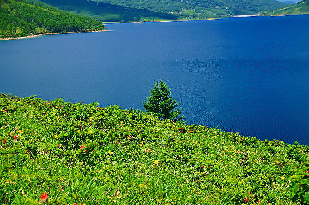 a0287533_21062217.jpg