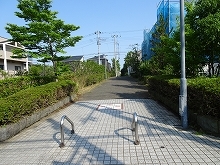 c0147935_21050504.jpg