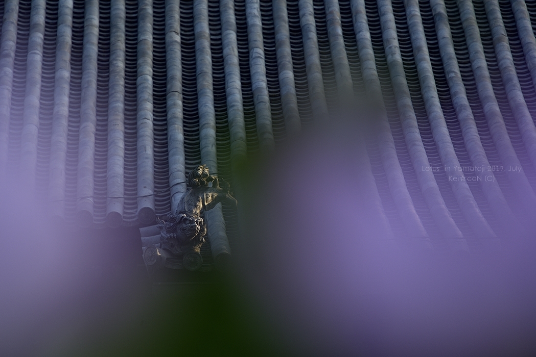 a0212036_08525795.jpg
