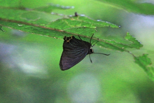 d0285540_07120082.jpg