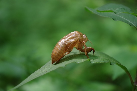 f0114346_07060242.jpg
