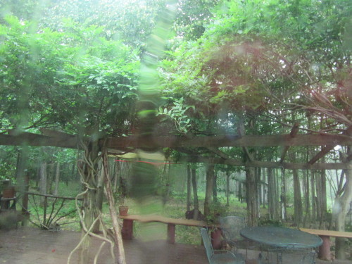 b0247153_03314515.jpg