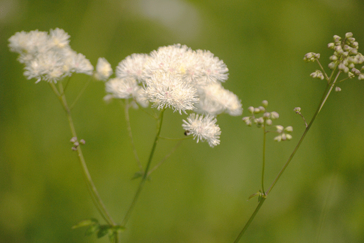 a0001354_22260841.gif