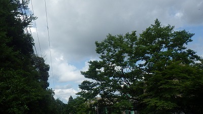 a0166454_18283333.jpg