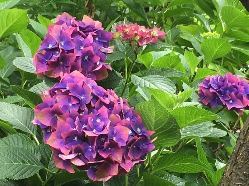 b0278455_22061017.jpg